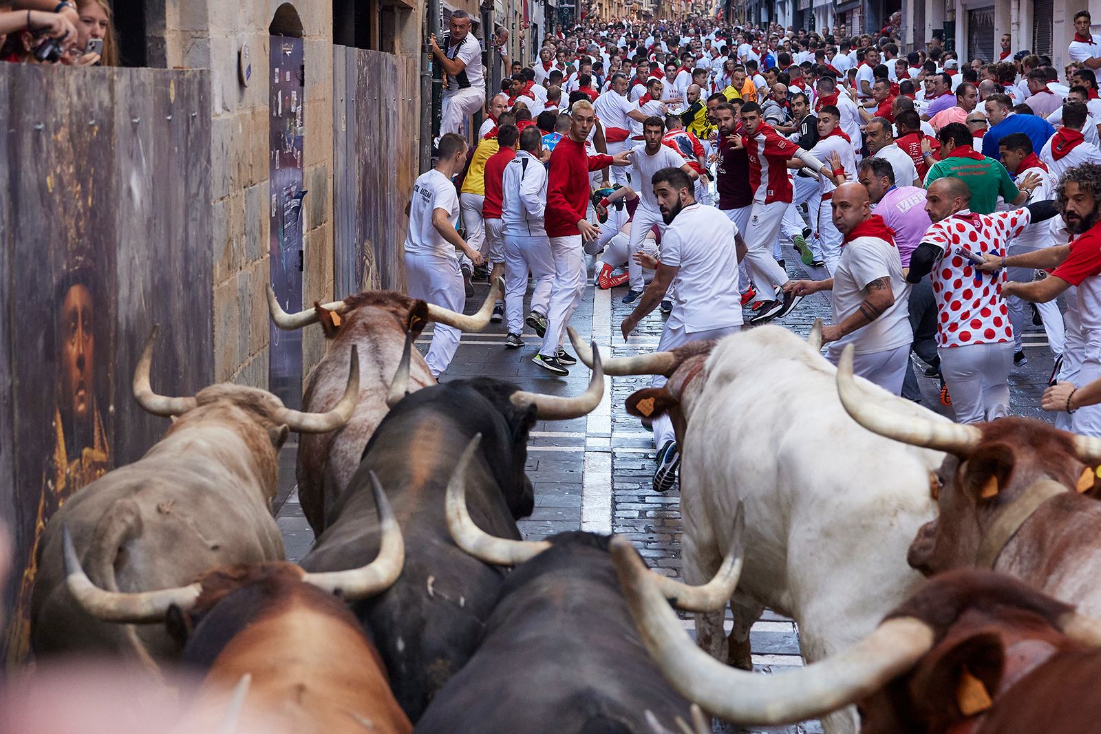 During Spain's bull running fiesta, one guy was gored and seven others were hurt