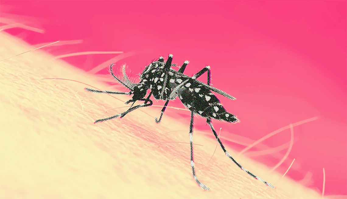 "Dengue Alert: Kathmandu on Edge as Infection Risk Soars"