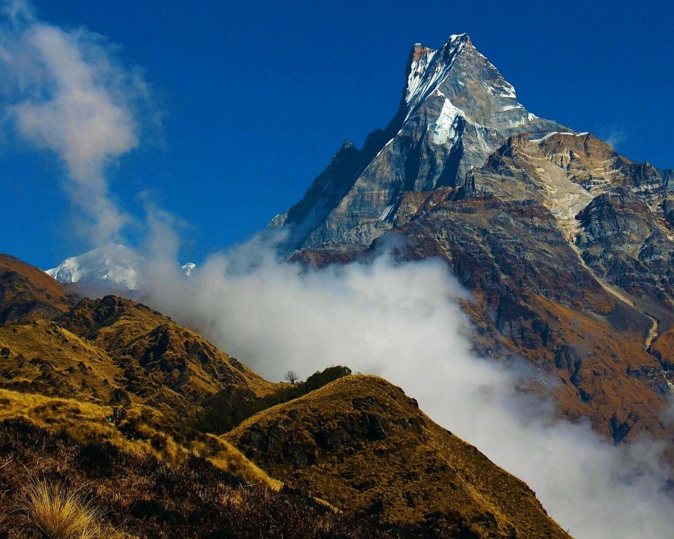Snow-capped Machhapuchhre mountain rising above golden hills and clouds on the Mardi Himal Trek in Nepal