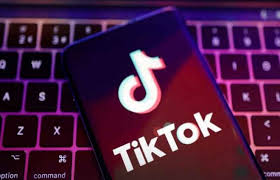 TikTok Adds Voice Notes and Media Sharing to DMs with Safety Features