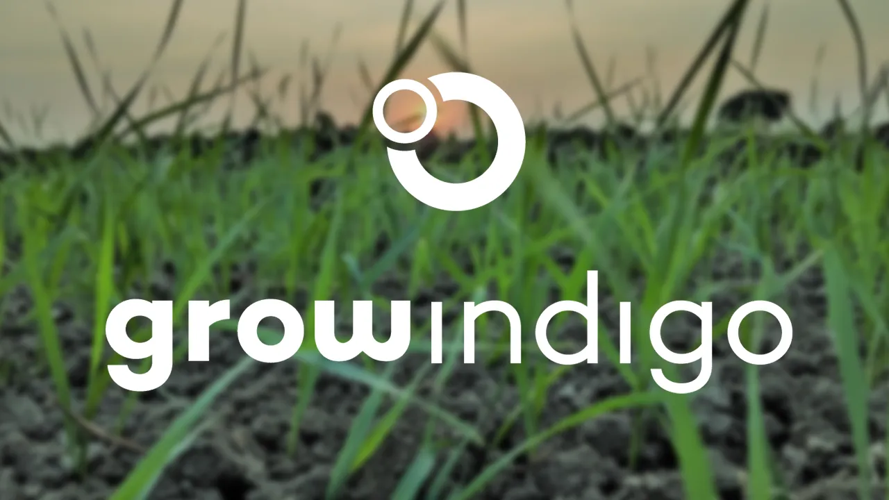 Agritech startup Grow Indigo has raised $10 million from British International Investment (BII)